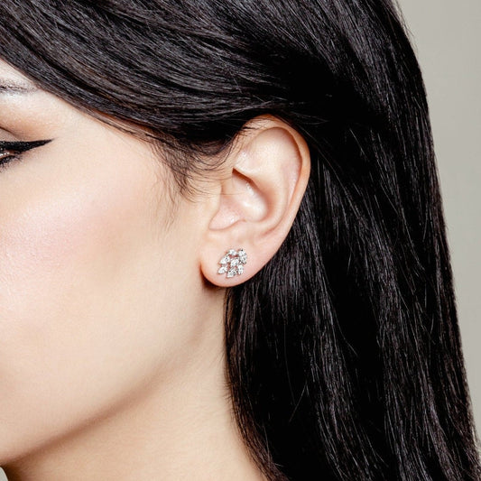 SPARKLING FANCY ETERNA EARRING